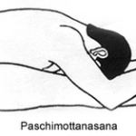 paschimottanasana